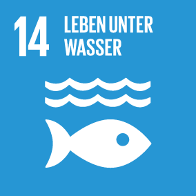 SDG 14: LEBEN UNTER WASSER